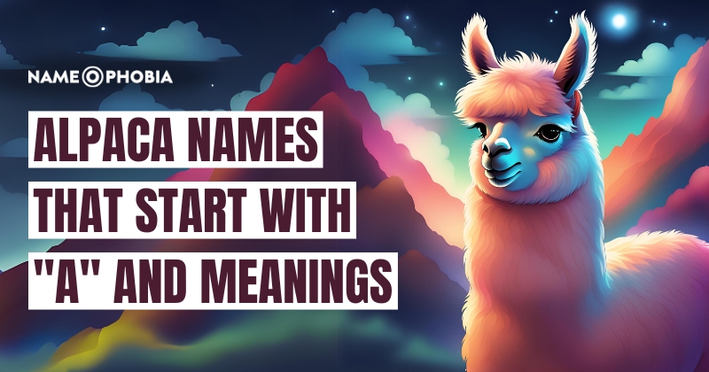 Alpaca Names That Start with "A" and Meanings