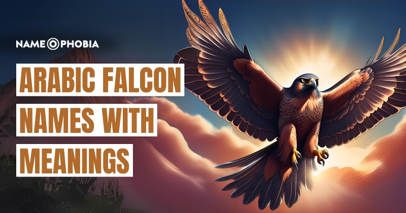 Arabic Falcon Names With Meanings