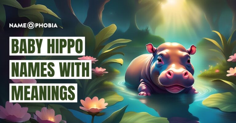 Top 300+ Hippo Names - Cool & Cute with Meanings