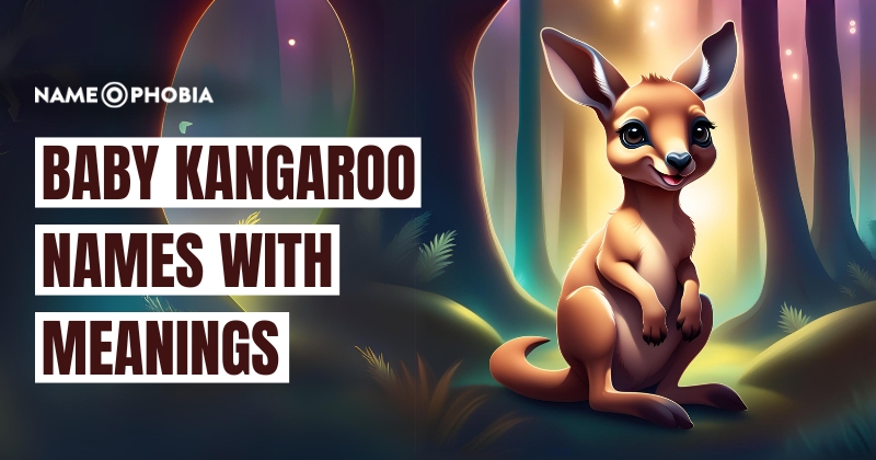 Baby Kangaroo Names With Meanings