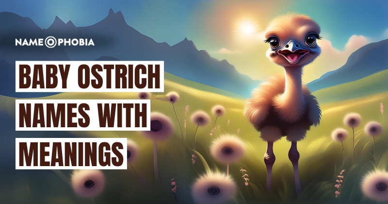 Baby Ostrich Names With Meanings