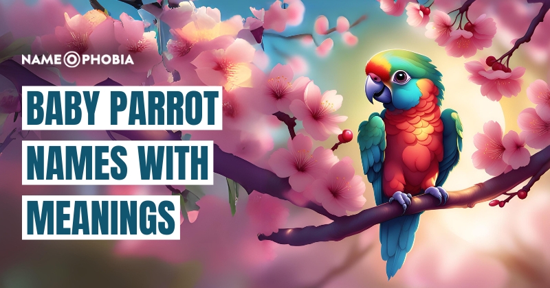 Baby Parrot Names With Meanings