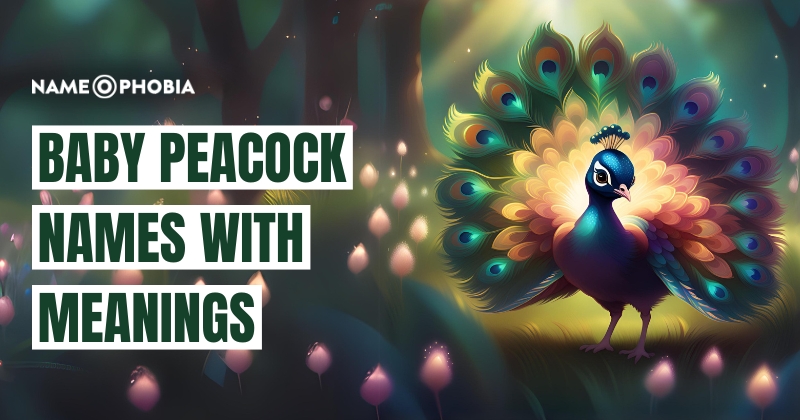 Baby Peacock Names With Meanings