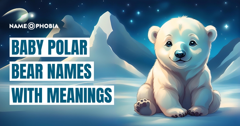 Baby Polar Bear Names With Meanings