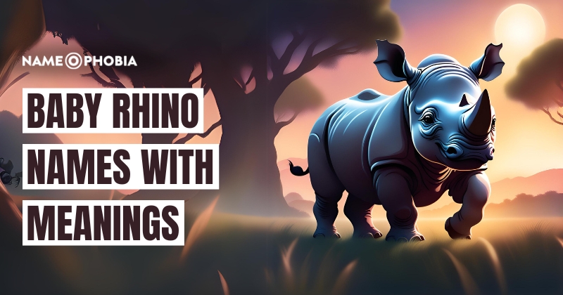 Baby Rhino Names with Meanings