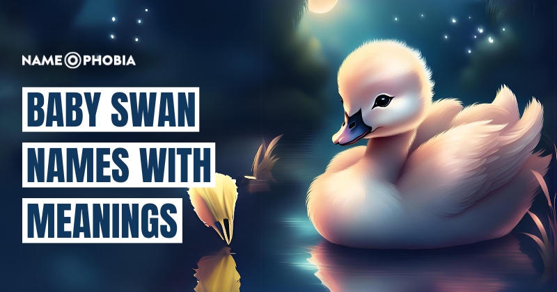 Baby Swan Names With Meanings