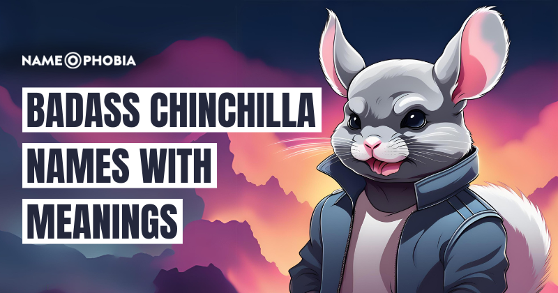 Badass Chinchilla Names with Meanings