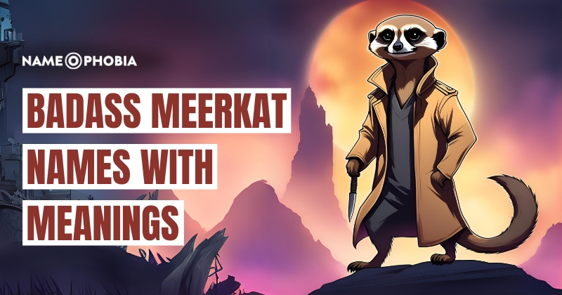 Badass Meerkat Names with Meanings