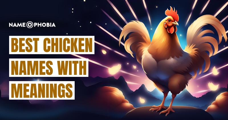 Best Chicken Names With Meanings