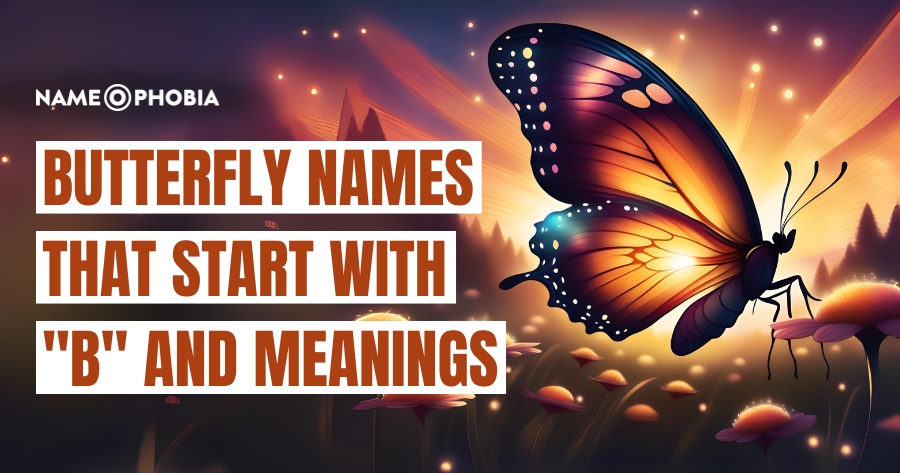 Butterfly Names That Start With "B" and Meanings