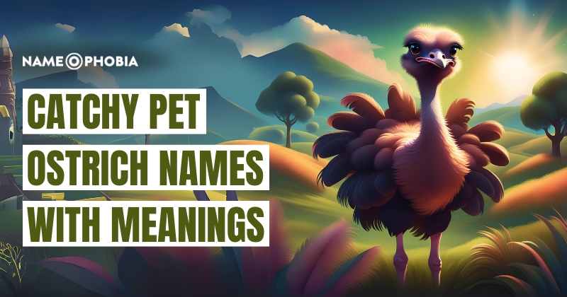 Catchy Pet Ostrich Names With Meanings