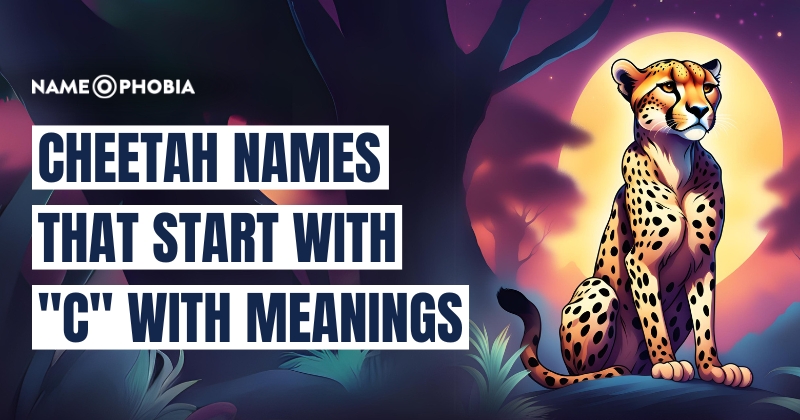 Cheetah Names that Start with "C" With Meanings