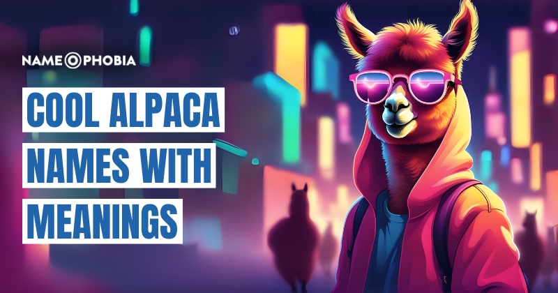 Cool Alpaca Names with Meanings