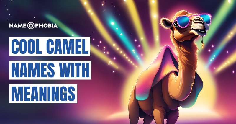 Cool Camel Names with Meanings