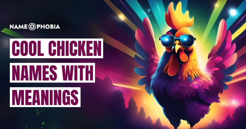 Cool Chicken Names With Meanings