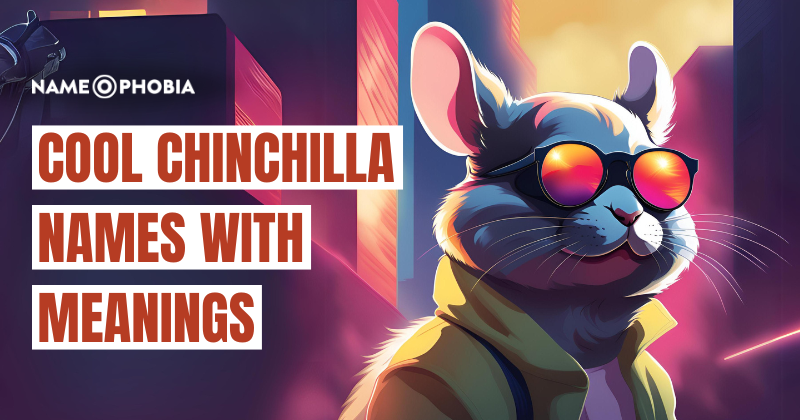 Cool Chinchilla Names with Meanings