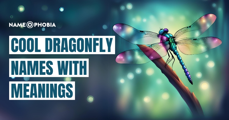 Cool Dragonfly Names With Meanings