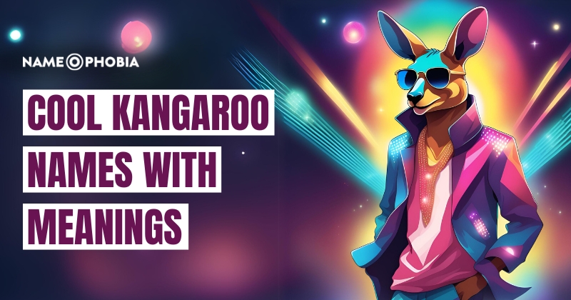 Cool Kangaroo Names With Meanings