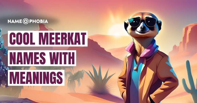 Cool Meerkat Names with Meanings