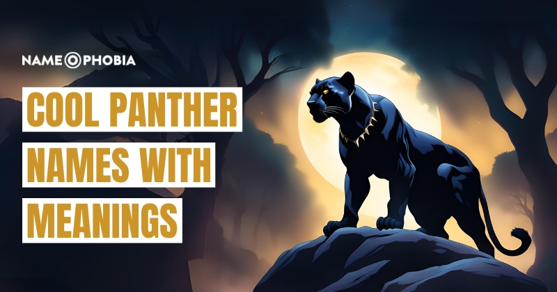 Cool Panther Names With Meanings