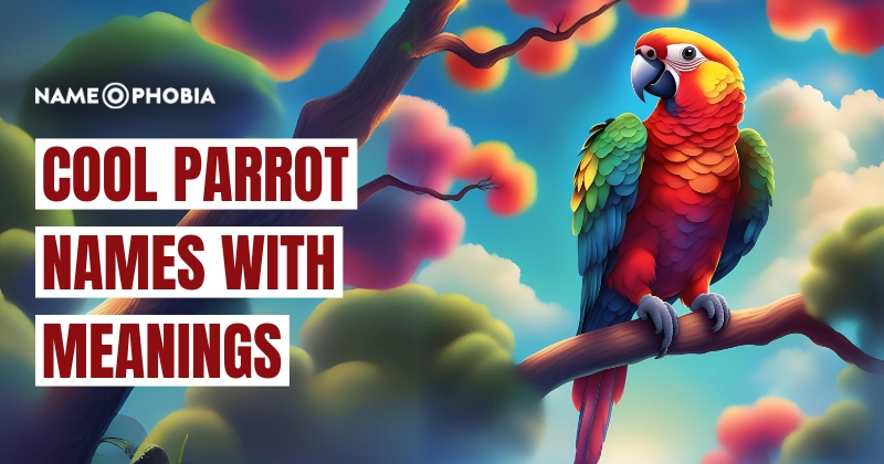 Cool Parrot Names With Meanings