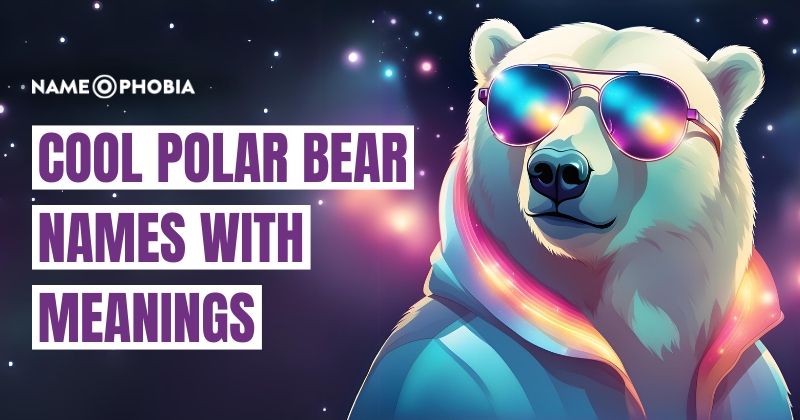 Cool Polar Bear Names With Meanings