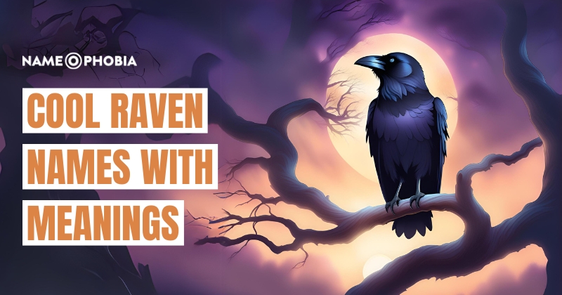 Cool Raven Names With Meanings