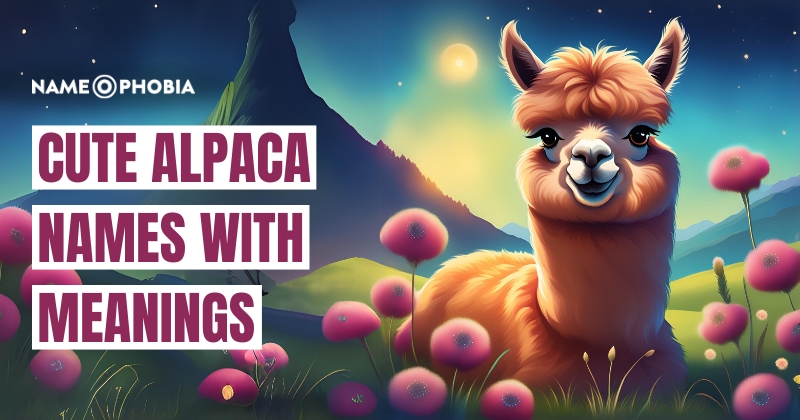 Cute Alpaca Names with Meanings