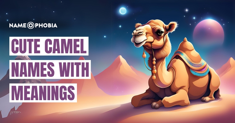 Cute Camel Names with Meanings