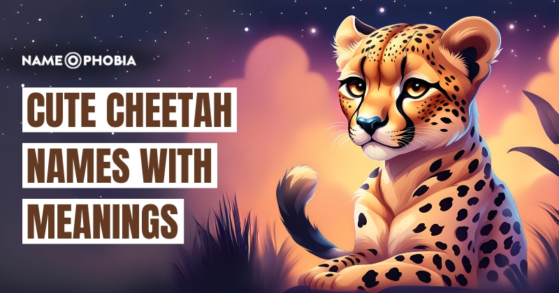 Cute Cheetah Names With Meanings