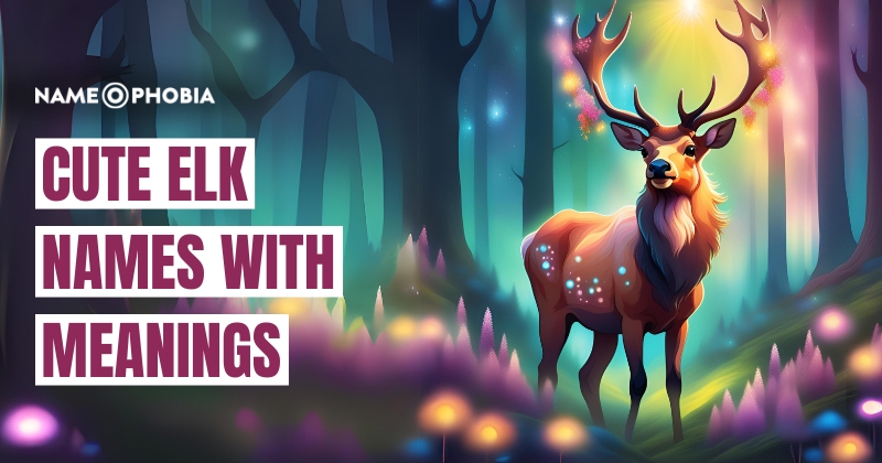 Cute Elk Names with Meanings