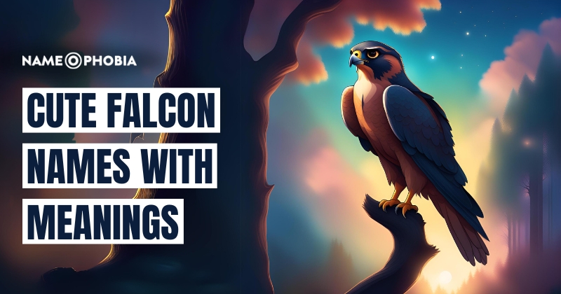 Cute Falcon Names With Meanings