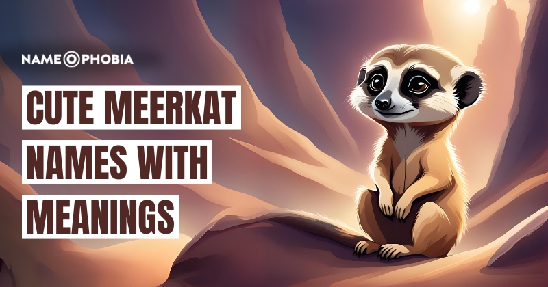 Cute Meerkat Names with Meanings