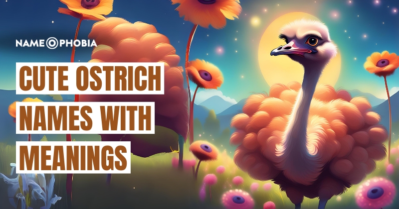 Cute Ostrich Names With Meanings