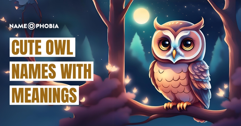 Cute Owl Names With Meanings