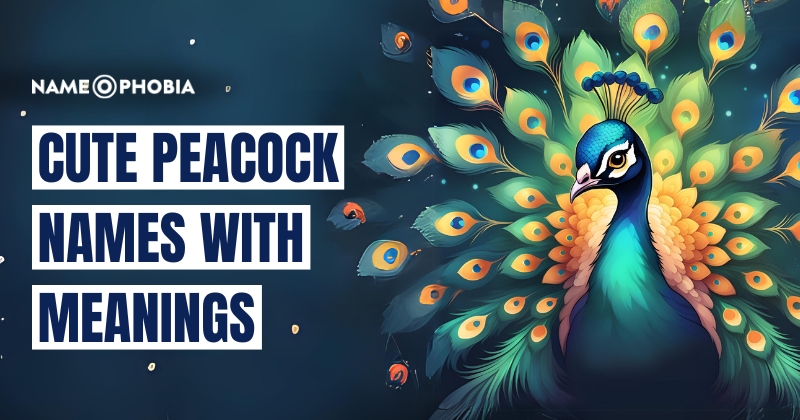 Cute Peacock Names With Meanings