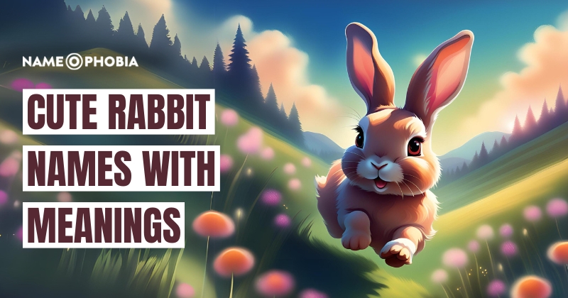 Cute Rabbit Names with Meanings