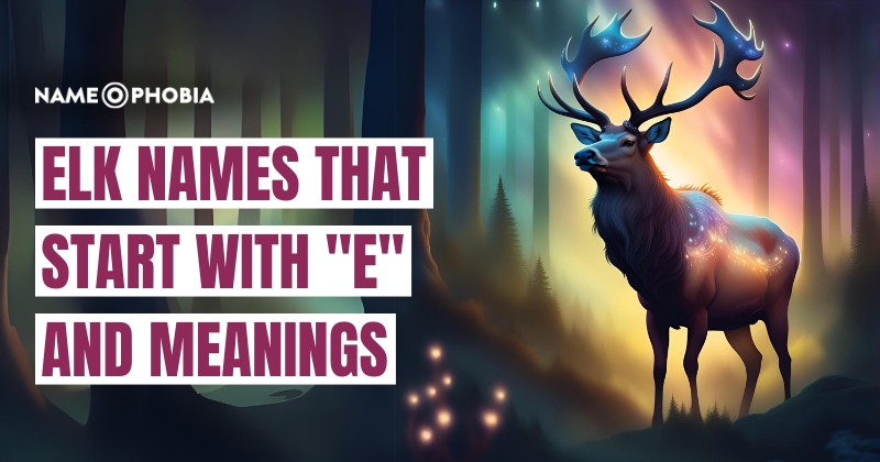 Elk Names That Start with "E" and Meanings