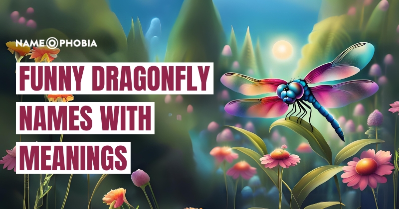 Funny Dragonfly Names With Meanings