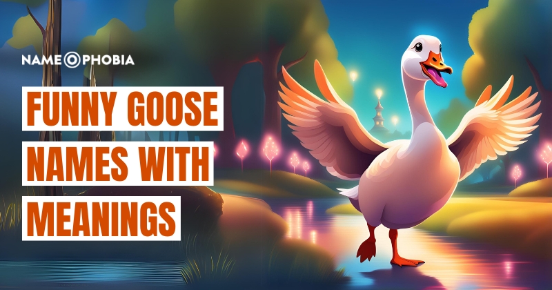 Funny Goose Names With Meanings