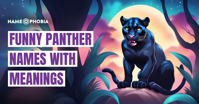 Funny Panther Names With Meanings