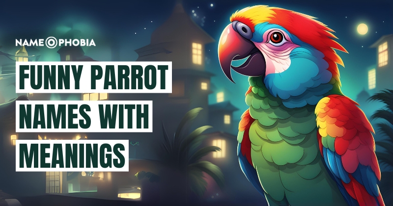 Funny Parrot Names With Meanings