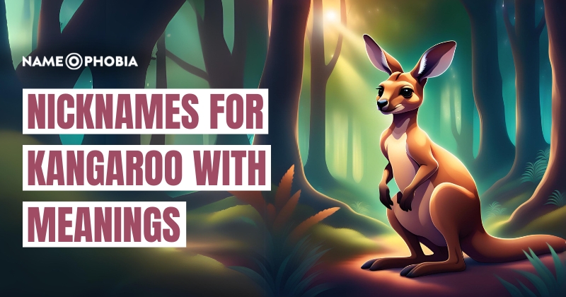 Nicknames For Kangaroo With Meanings