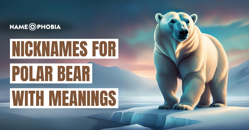 Nicknames For Polar Bear With Meanings