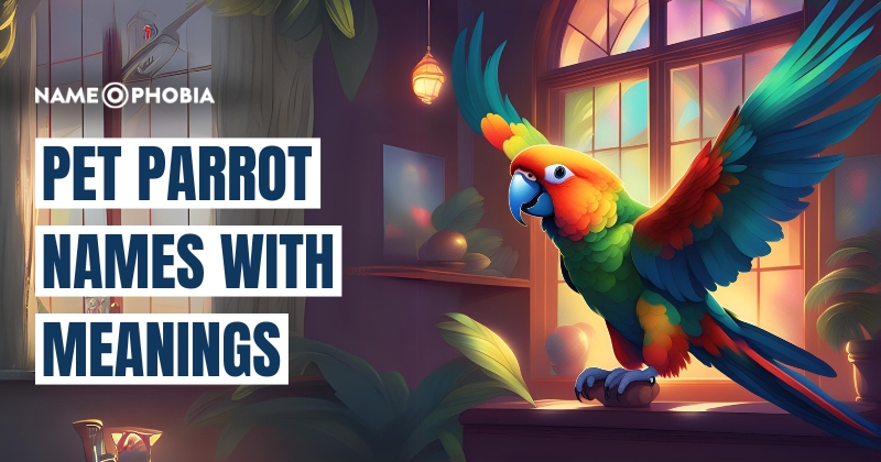 Pet Parrot Names With Meanings