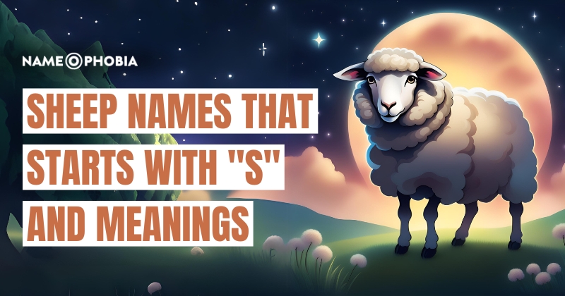 Sheep Names That Starts with "S" and Meanings