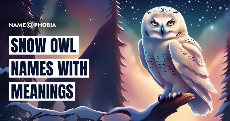 Snow Owl Names With Meanings