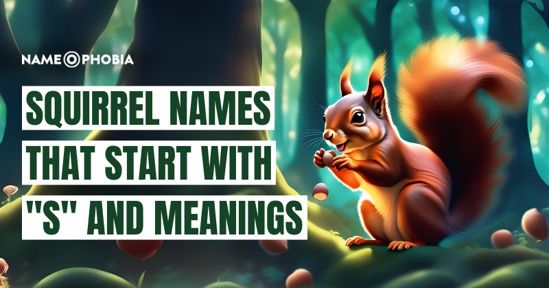 Squirrel Names that Start with "S" and Meanings