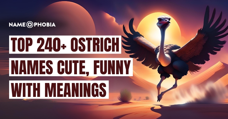 Top 240+ Ostrich Names Cute, Funny With Meanings