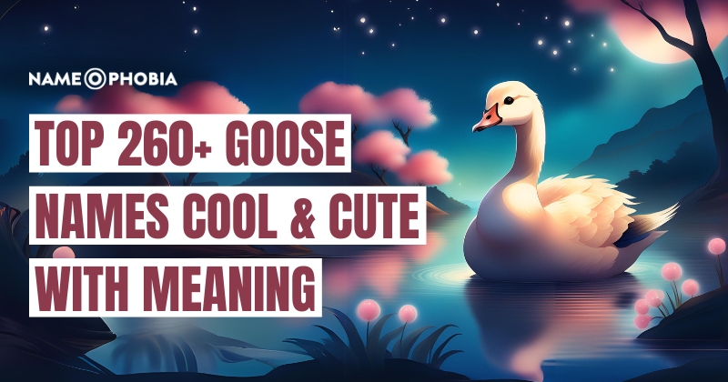 Top 260+ Goose Names Cool & Cute With Meaning